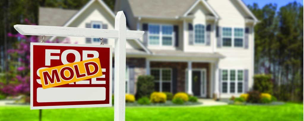 How to Kill a Real Estate Transaction with Mold